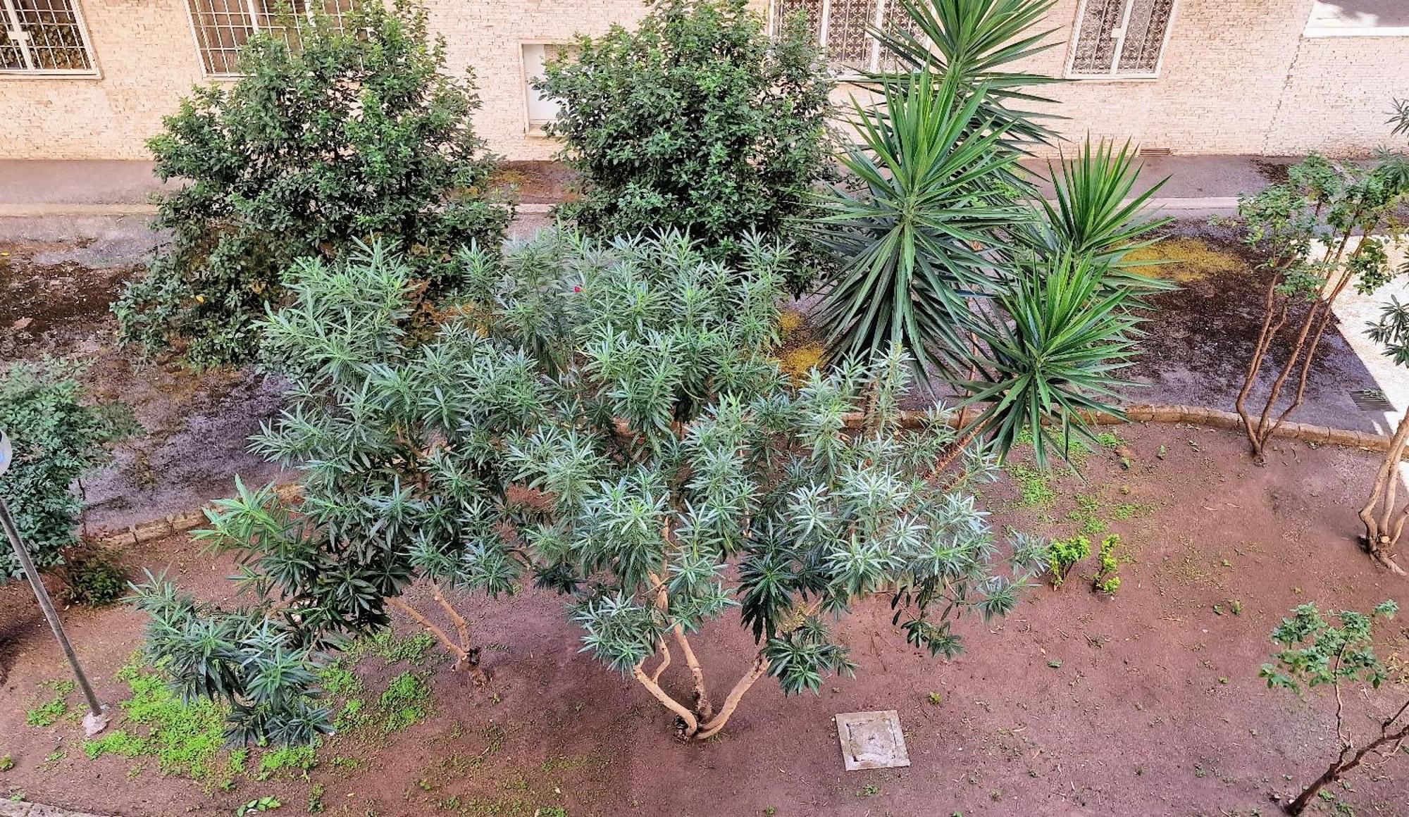 Apartamento Casa Rosi